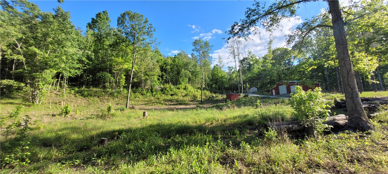 343 Butts Farm Road, Westminster, South Carolina image 35