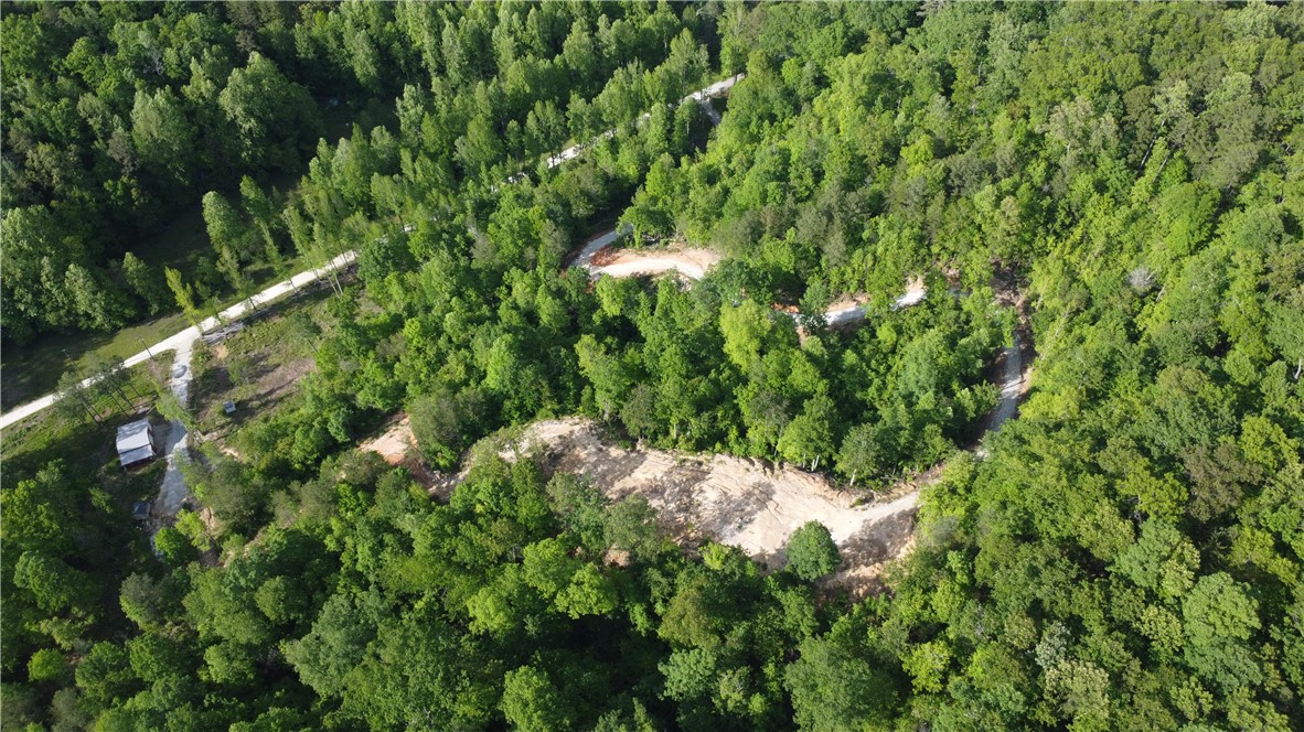 343 Butts Farm Road, Westminster, South Carolina image 23