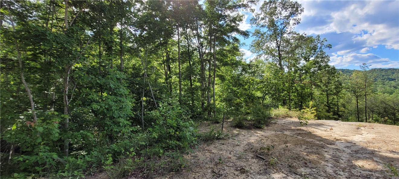 343 Butts Farm Road, Westminster, South Carolina image 5