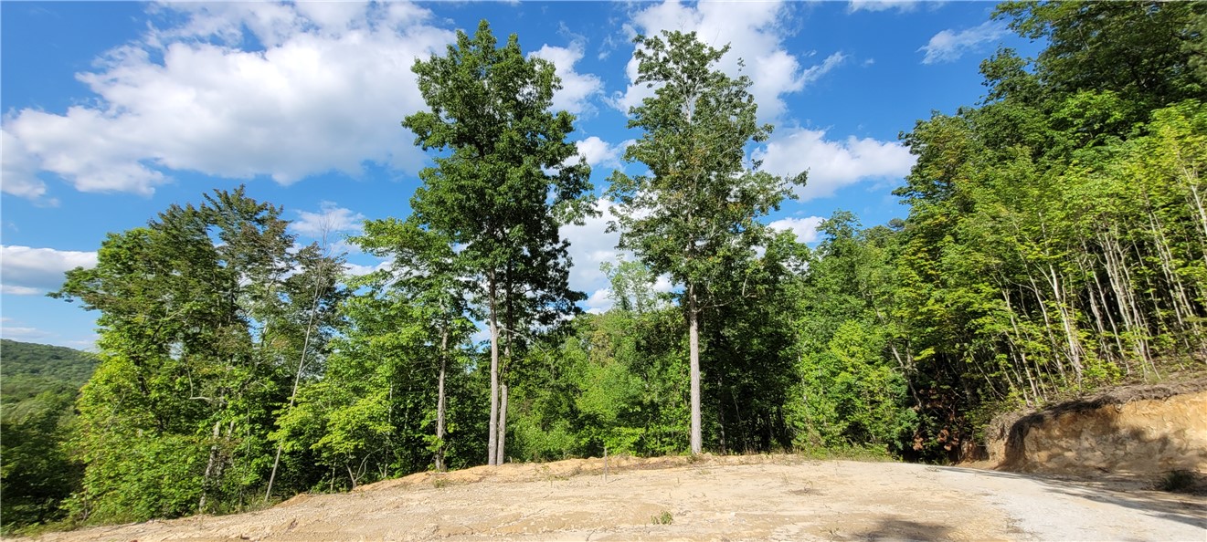 343 Butts Farm Road, Westminster, South Carolina image 3