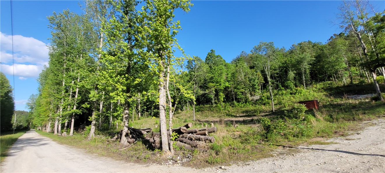 343 Butts Farm Road, Westminster, South Carolina image 32