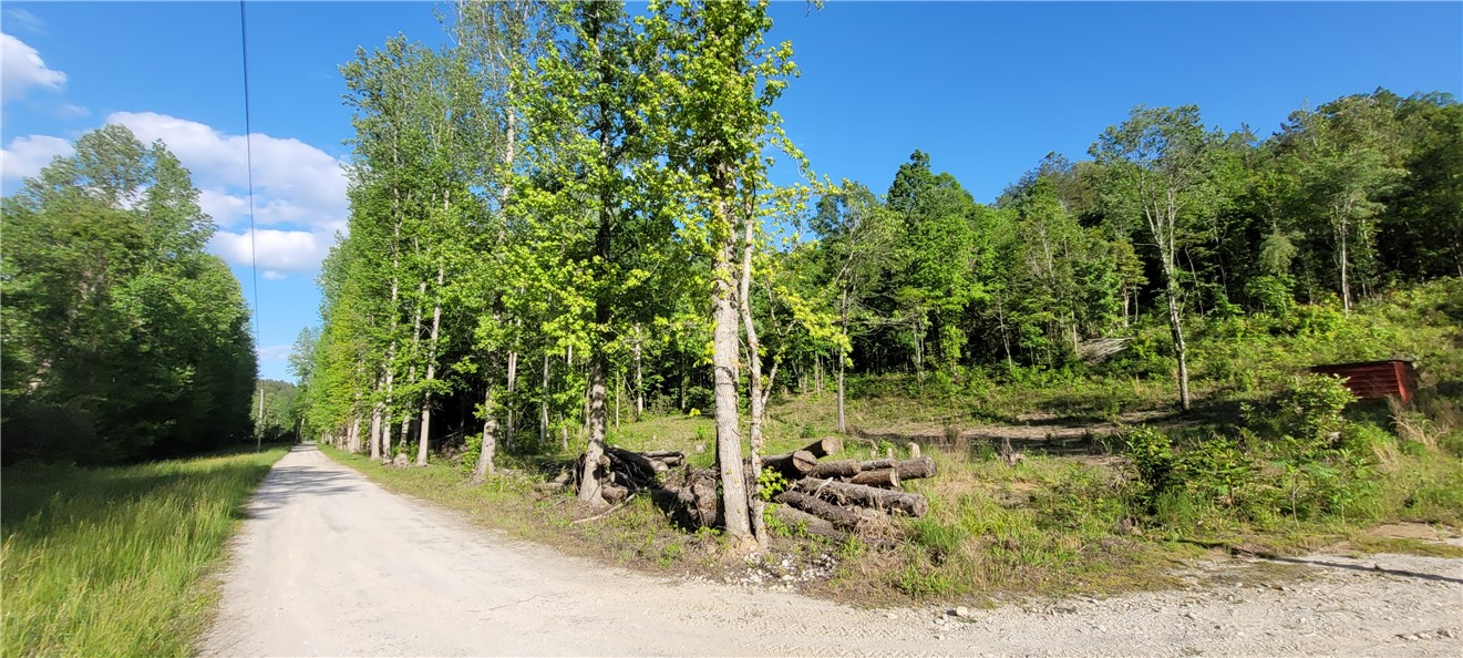 343 Butts Farm Road, Westminster, South Carolina image 31