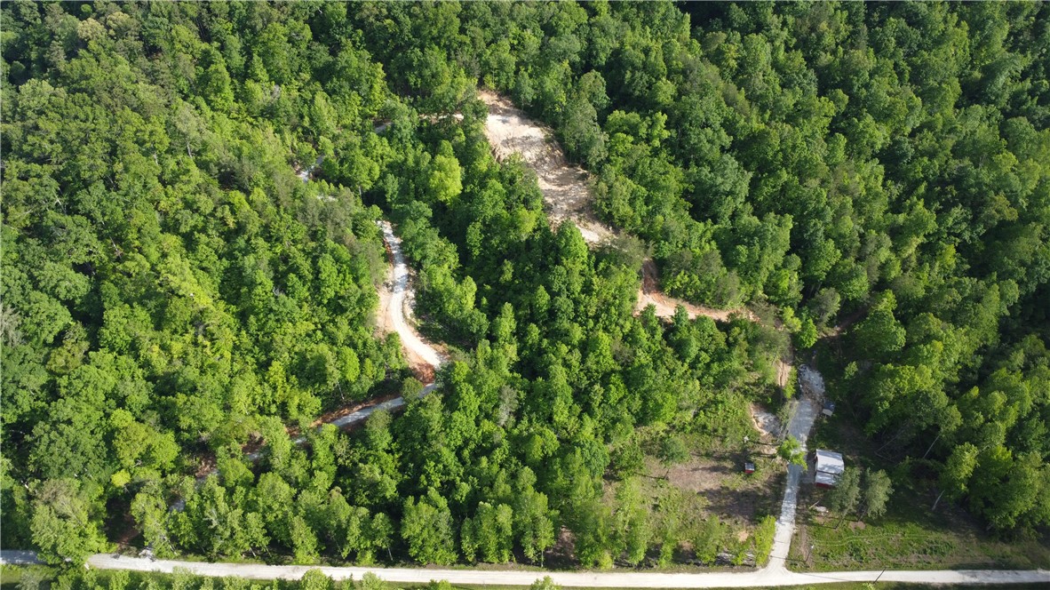 343 Butts Farm Road, Westminster, South Carolina image 25