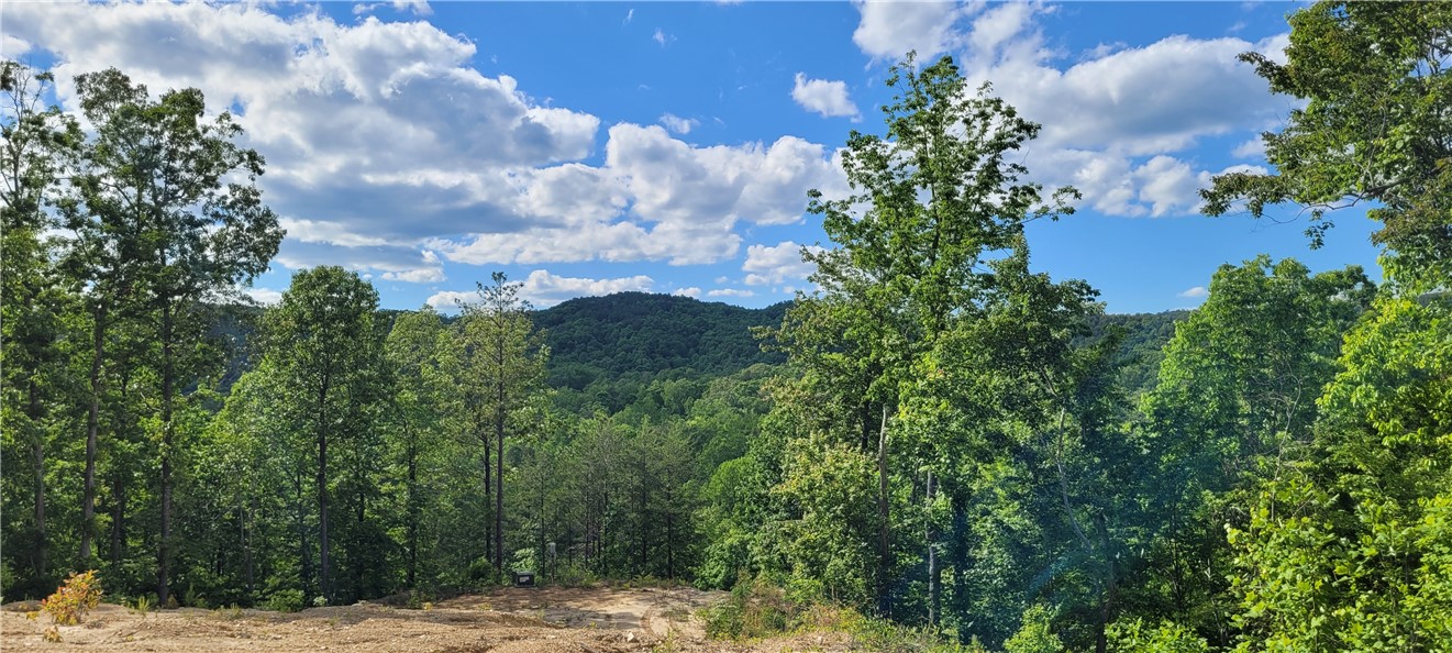 343 Butts Farm Road, Westminster, South Carolina image 2