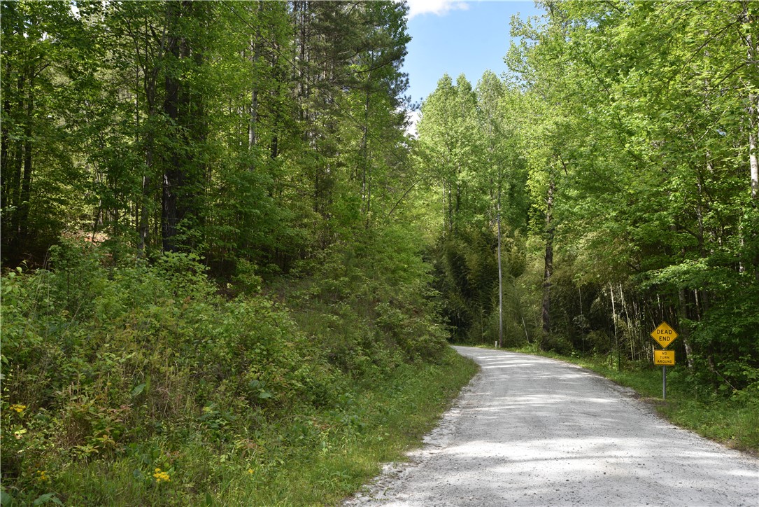 343 Butts Farm Road, Westminster, South Carolina image 29