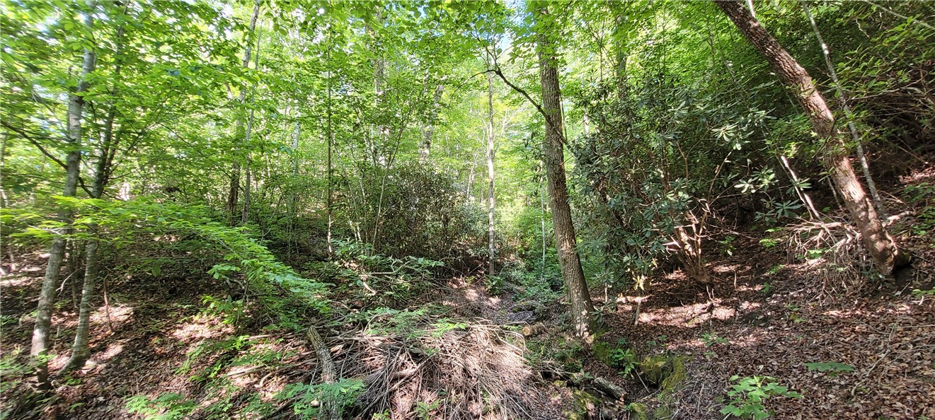 343 Butts Farm Road, Westminster, South Carolina image 19