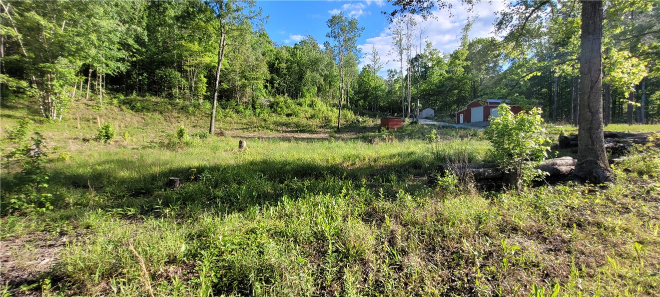 343 Butts Farm Road, Westminster, South Carolina image 33