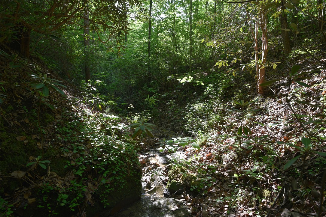 343 Butts Farm Road, Westminster, South Carolina image 38
