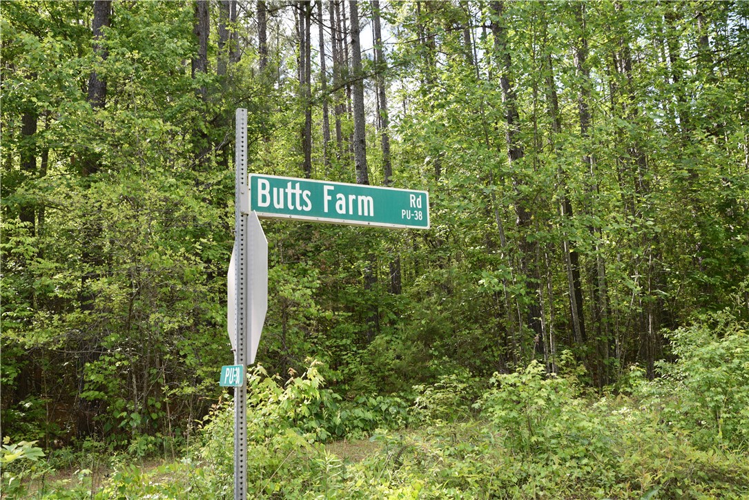 343 Butts Farm Road, Westminster, South Carolina image 28