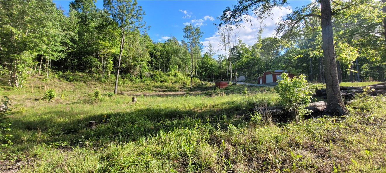 343 Butts Farm Road, Westminster, South Carolina image 34