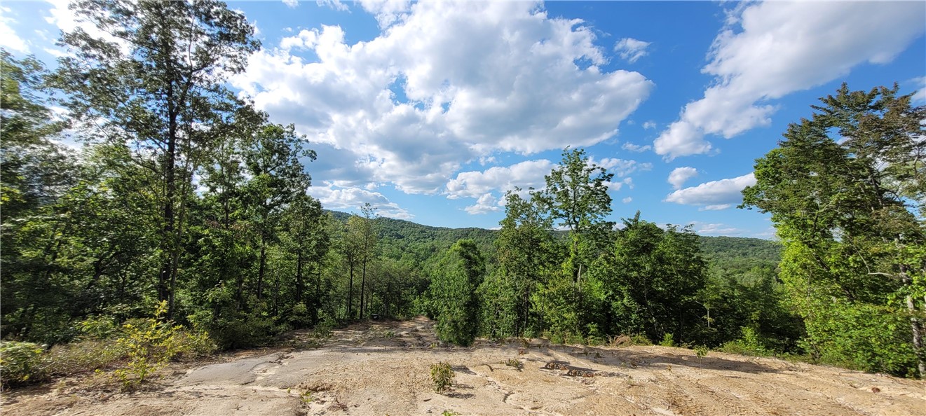 343 Butts Farm Road, Westminster, South Carolina image 4