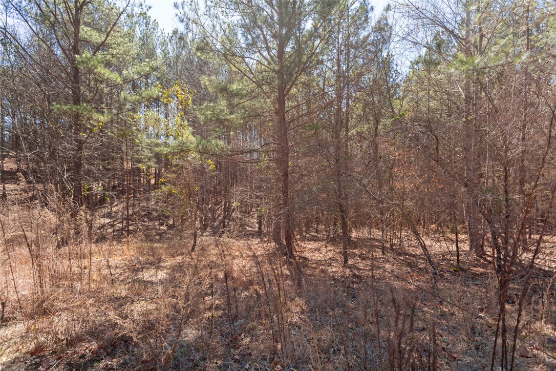 Lot 219 Waterside Crossing/high Ridge Dr, Seneca, South Carolina image 8