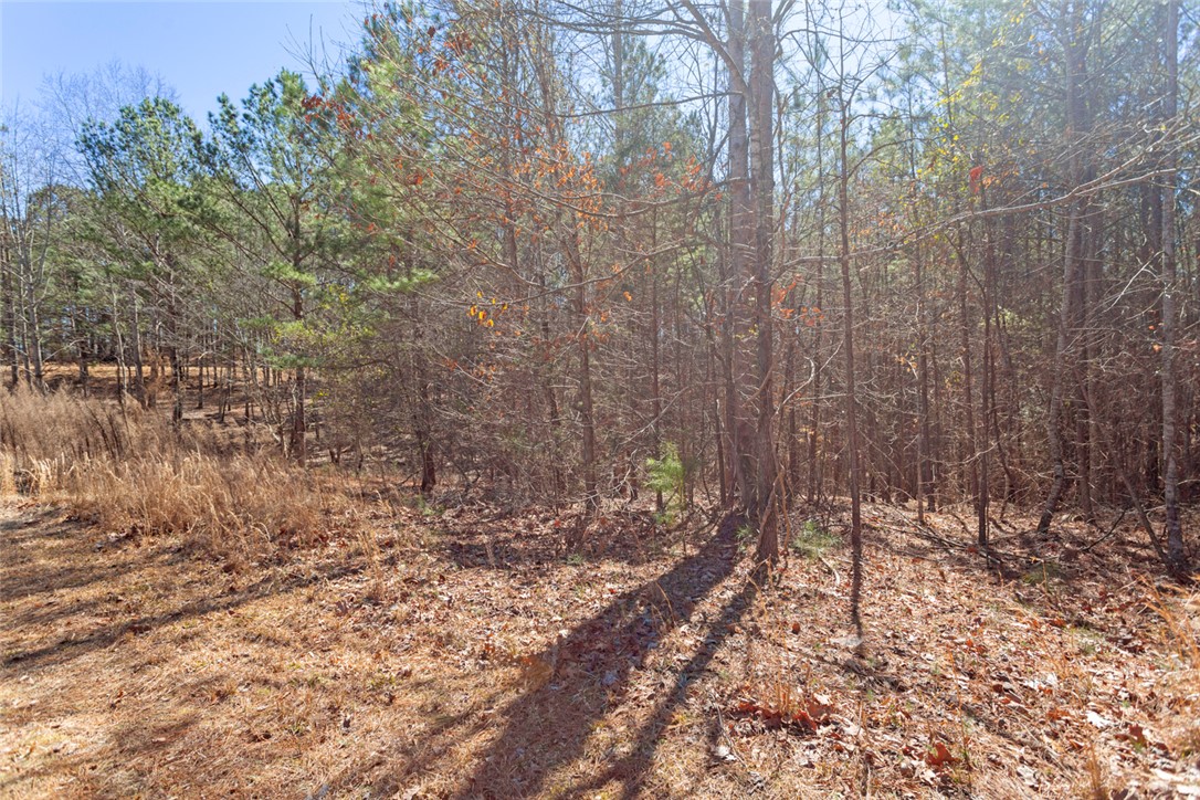 Lot 219 Waterside Crossing/high Ridge Dr, Seneca, South Carolina image 7