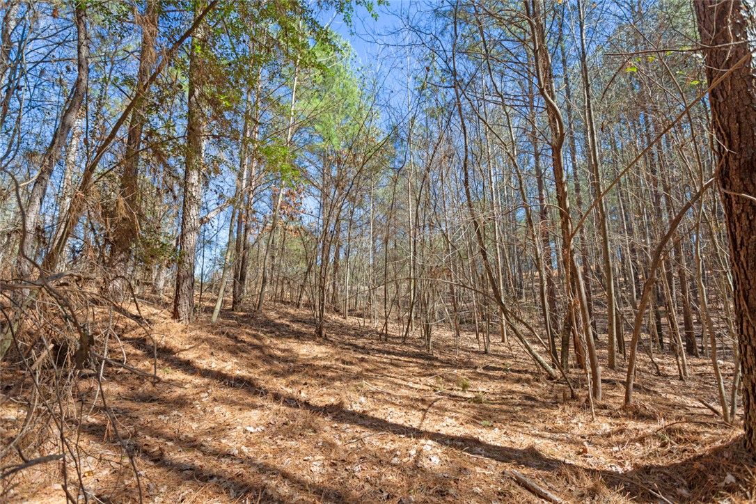 Lot 219 Waterside Crossing/high Ridge Dr, Seneca, South Carolina image 13