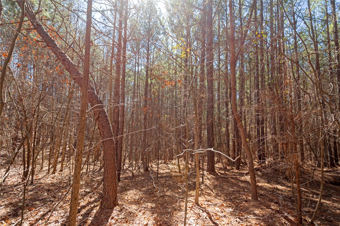 Lot 219 Waterside Crossing/high Ridge Dr, Seneca, South Carolina image 11