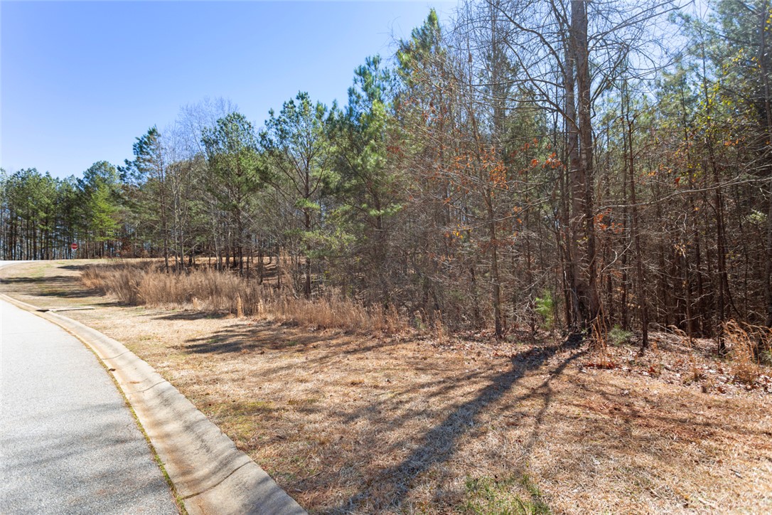 Lot 219 Waterside Crossing/high Ridge Dr, Seneca, South Carolina image 5
