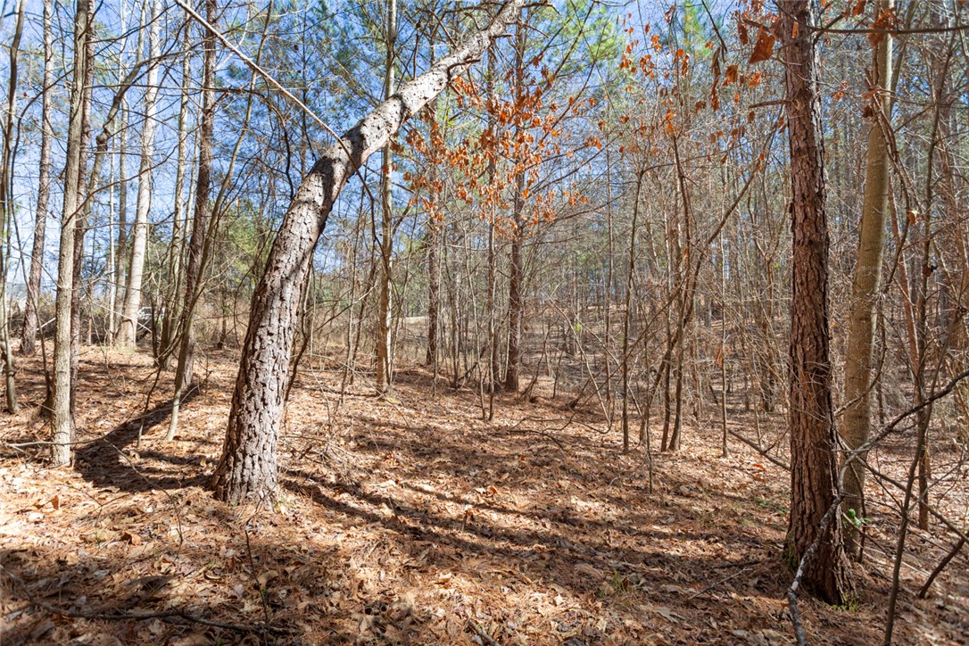 Lot 219 Waterside Crossing/high Ridge Dr, Seneca, South Carolina image 12