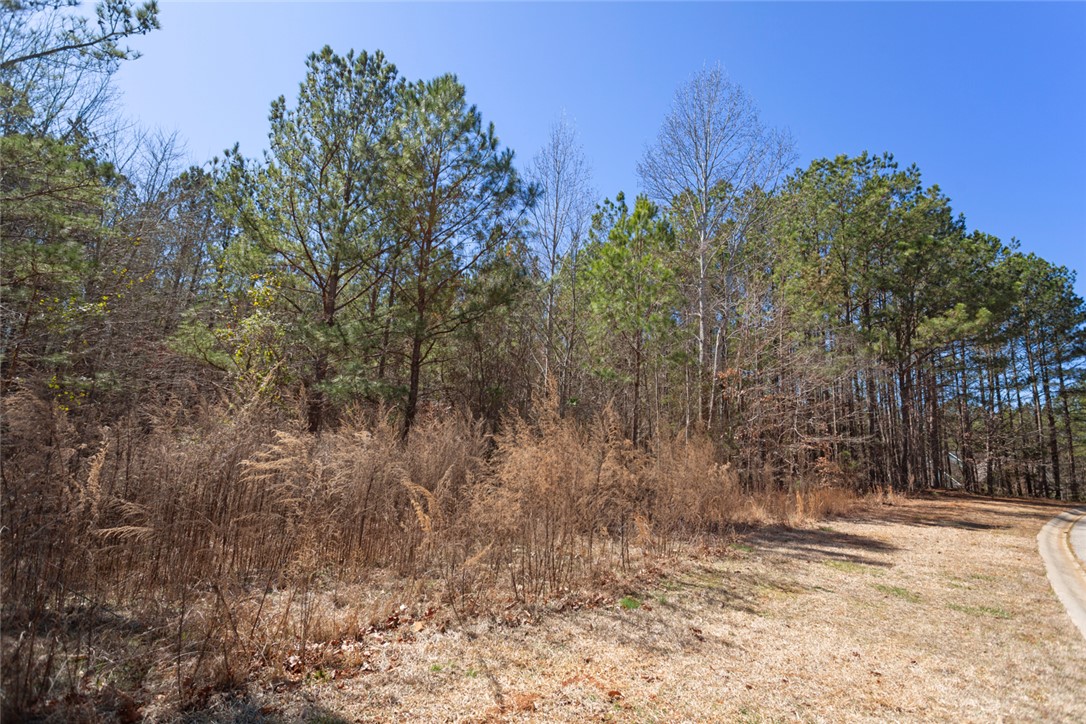 Lot 219 Waterside Crossing/high Ridge Dr, Seneca, South Carolina image 6