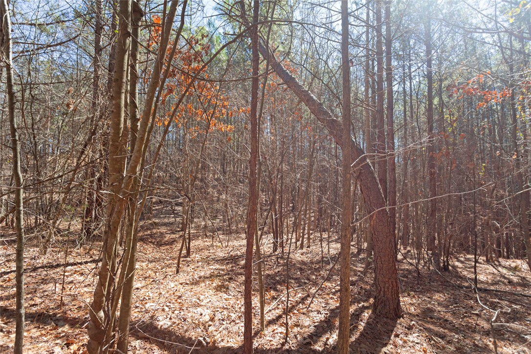 Lot 219 Waterside Crossing/high Ridge Dr, Seneca, South Carolina image 10