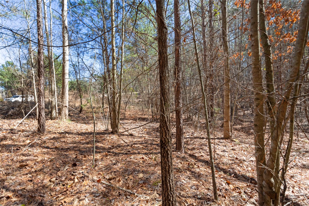 Lot 219 Waterside Crossing/high Ridge Dr, Seneca, South Carolina image 9