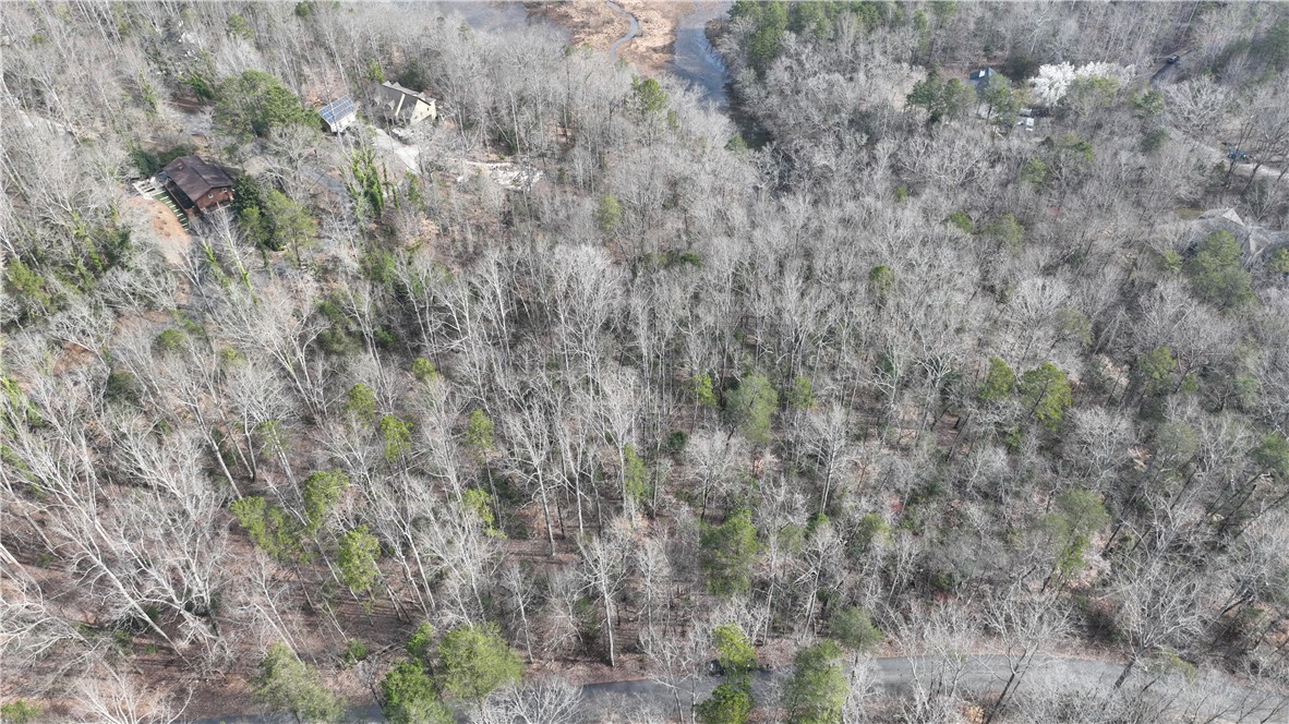 00 Pin Du Lac Drive, Central, South Carolina image 4