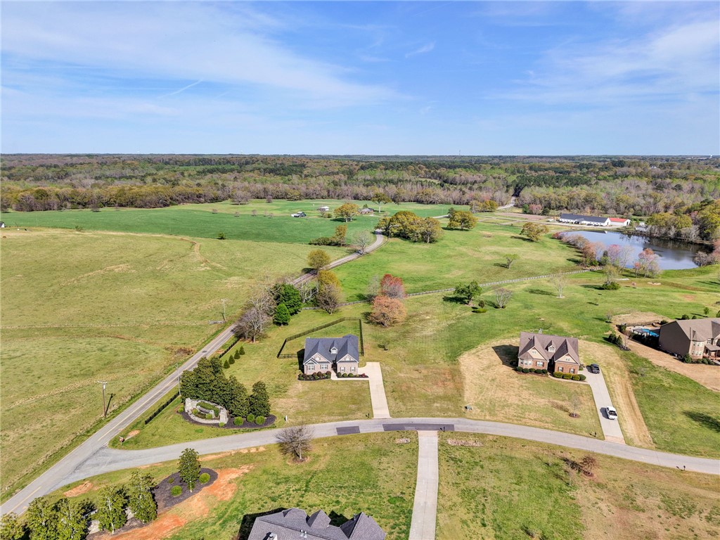 1001 Omega Farms Lane, Williamston, South Carolina image 46