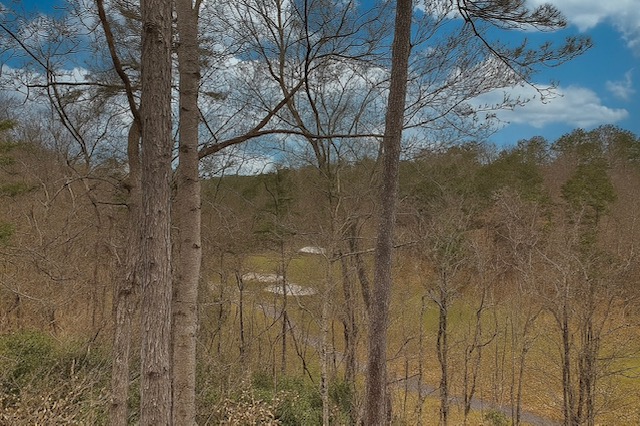 Salem, South Carolina 29676, United States, 3 Bedrooms Bedrooms, ,4 BathroomsBathrooms,Residential,Active,203973