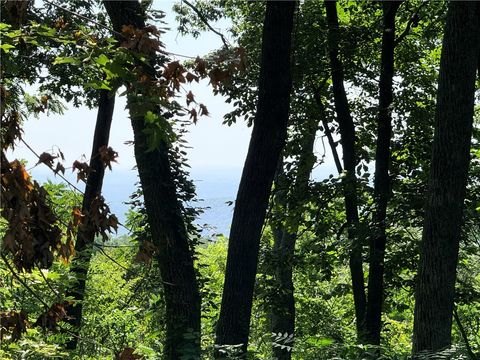 Vacant Land For Sale - 147 Raptor Way<br/> Greenville County, Landrum, SC 29356