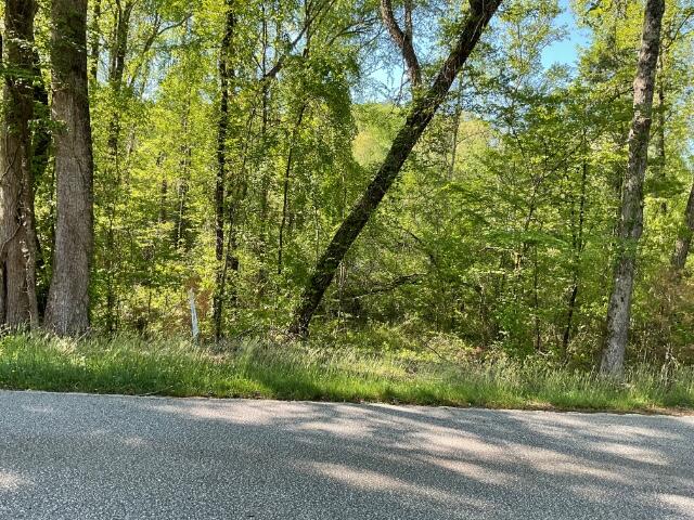 Reece Mill Road, Pickens, South Carolina image 1
