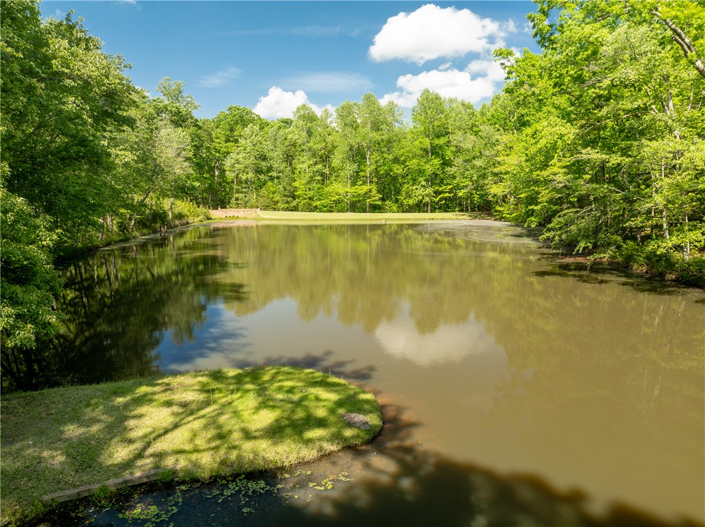 859 Mt Airy Church Road, Easley, South Carolina image 45