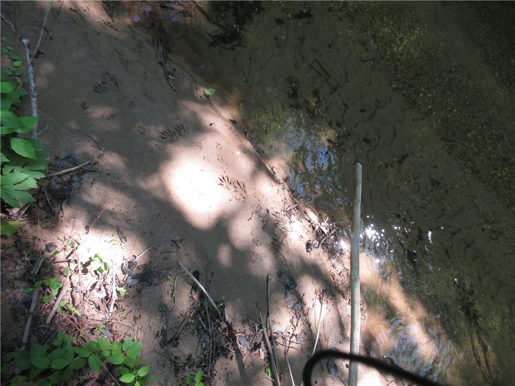 716 Sliding Rock Road, Pickens, South Carolina image 29