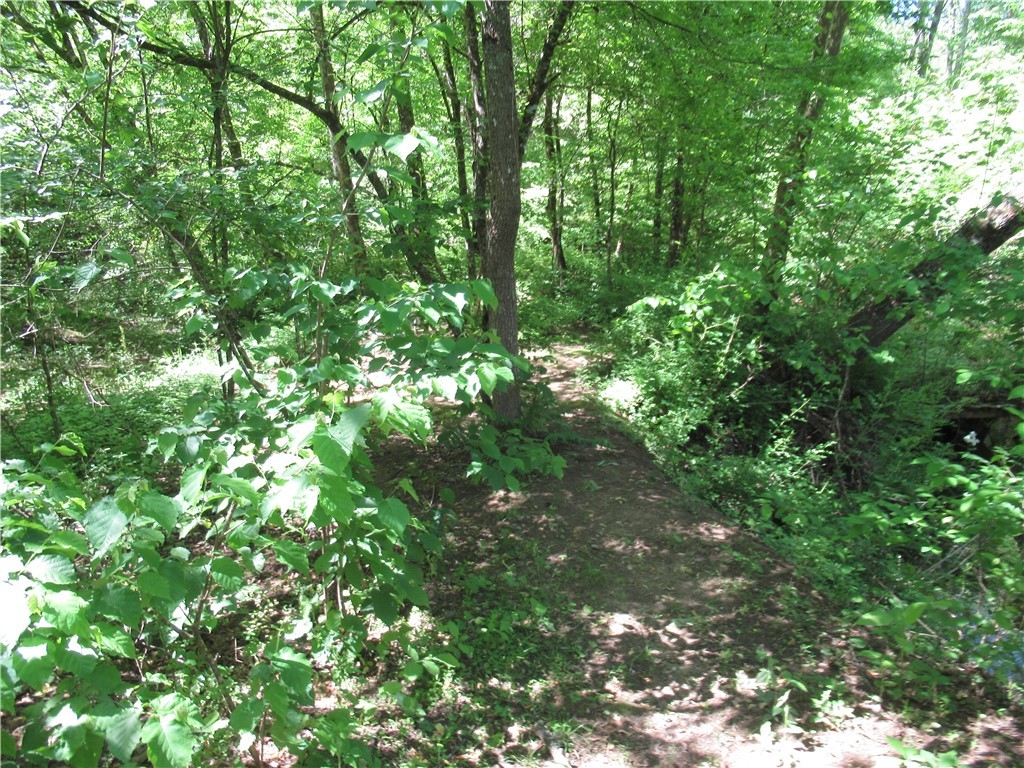716 Sliding Rock Road, Pickens, South Carolina image 22