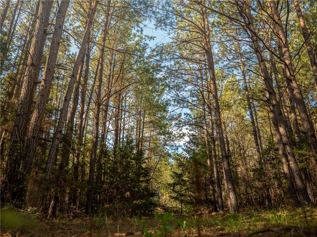 00 Sc 92 Highway, Enoree, South Carolina image 26