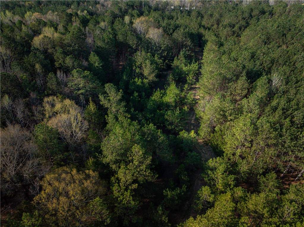 00 Sc 92 Highway, Enoree, South Carolina image 14