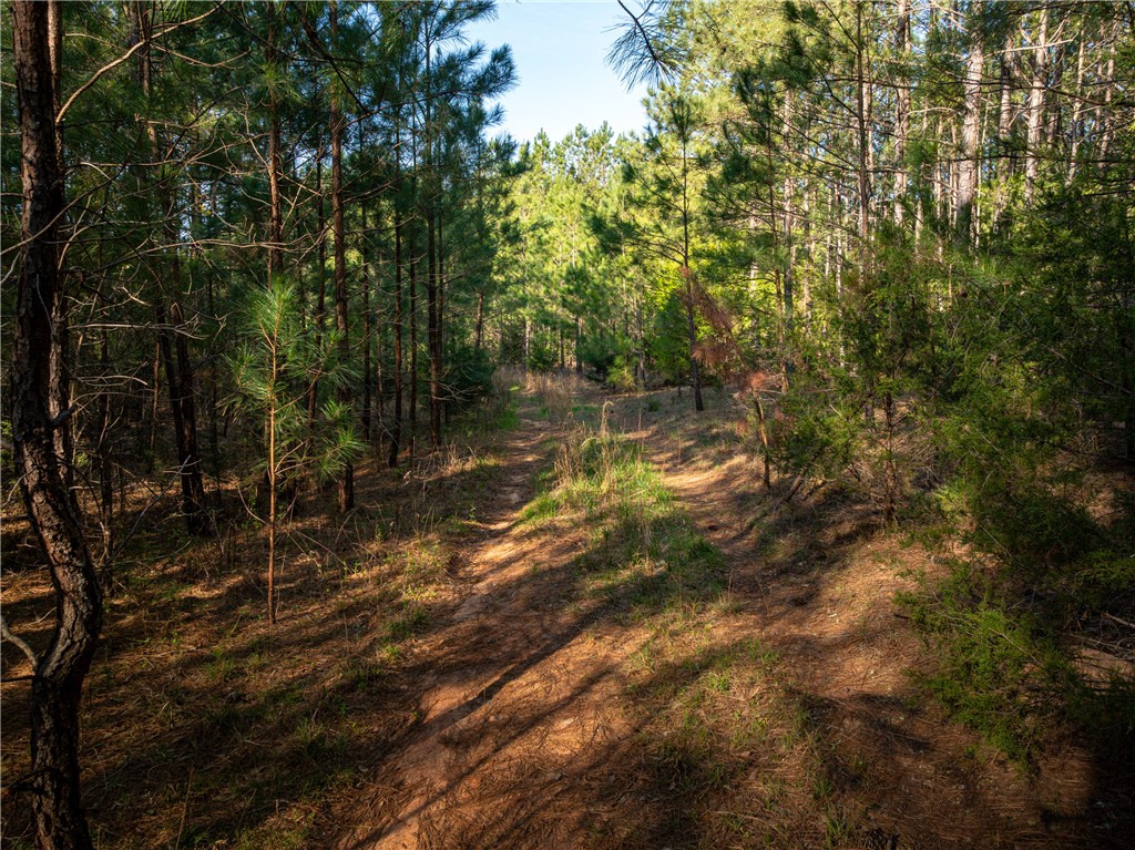 00 Sc 92 Highway, Enoree, South Carolina image 15