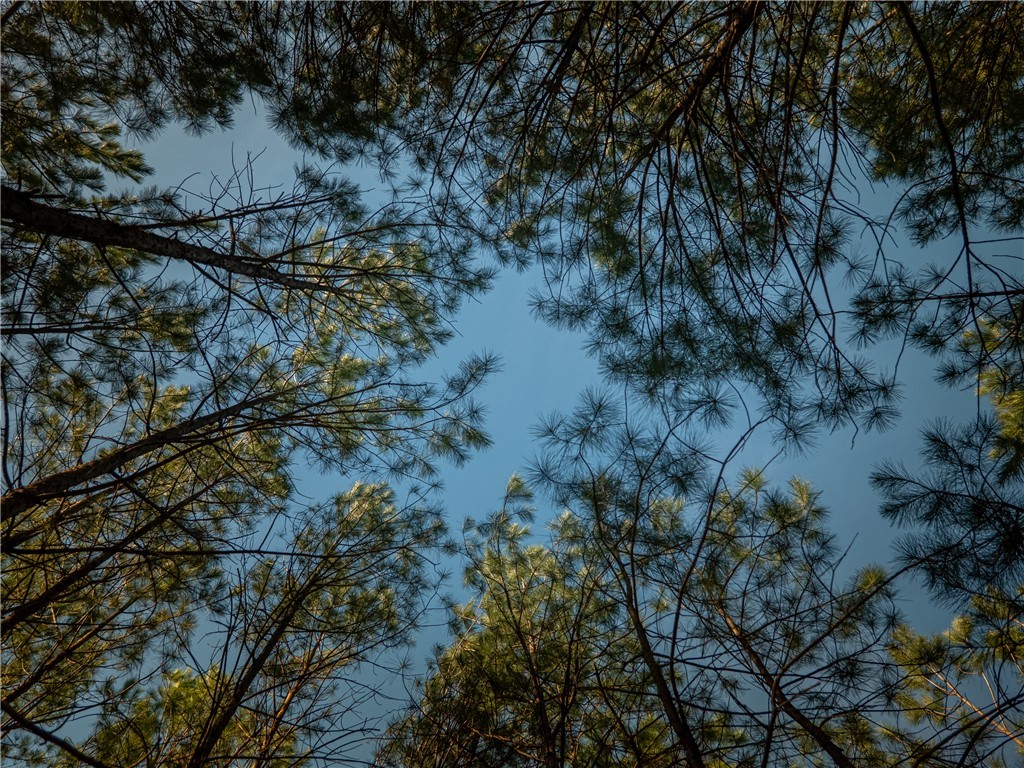 00 Sc 92 Highway, Enoree, South Carolina image 22