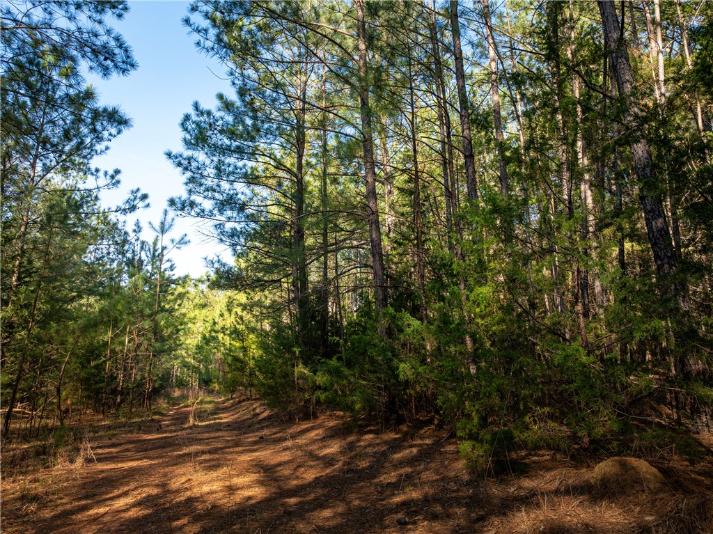 00 Sc 92 Highway, Enoree, South Carolina image 16