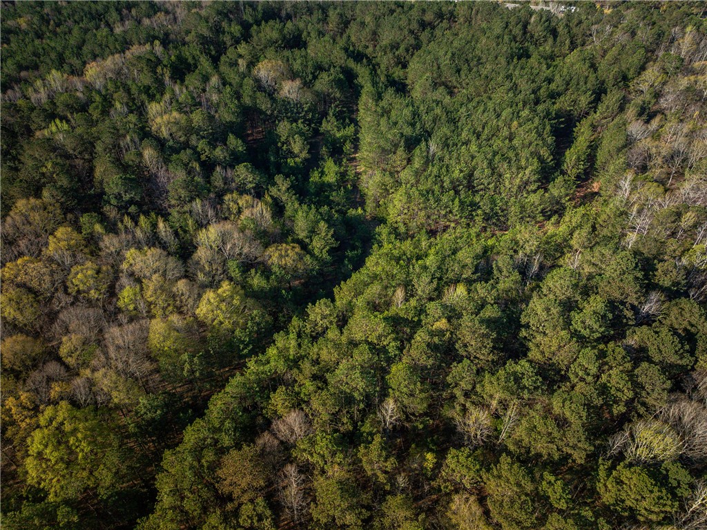 00 Sc 92 Highway, Enoree, South Carolina image 12