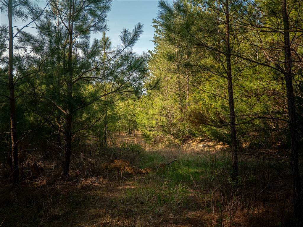 00 Sc 92 Highway, Enoree, South Carolina image 18
