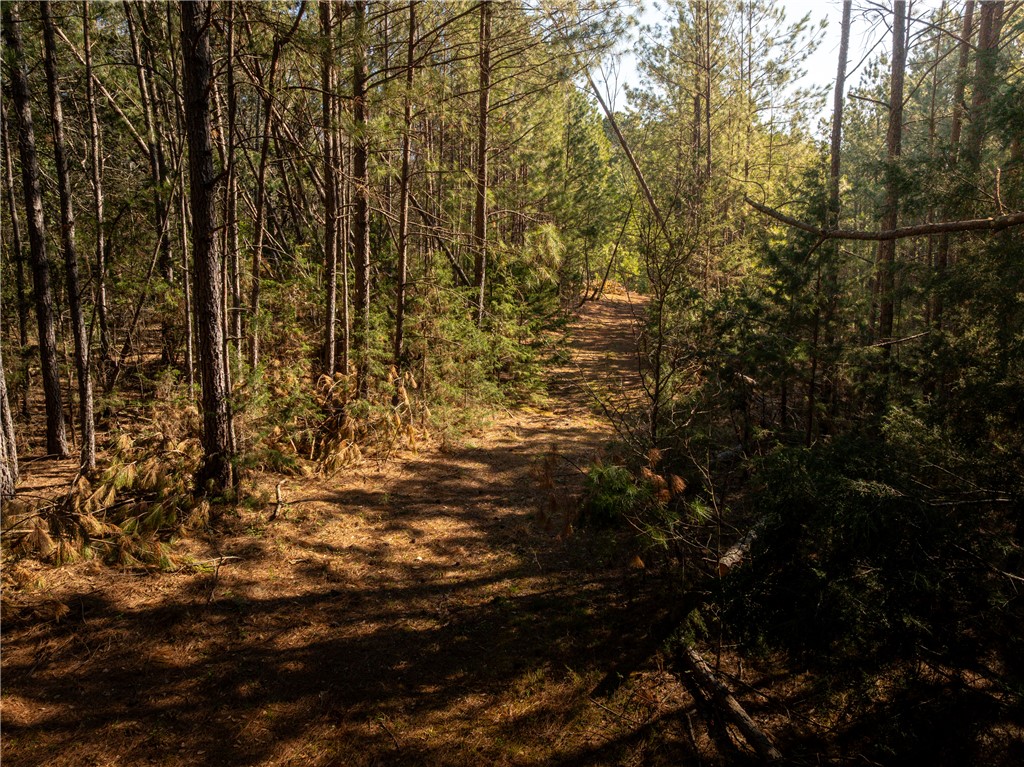 00 Sc 92 Highway, Enoree, South Carolina image 17