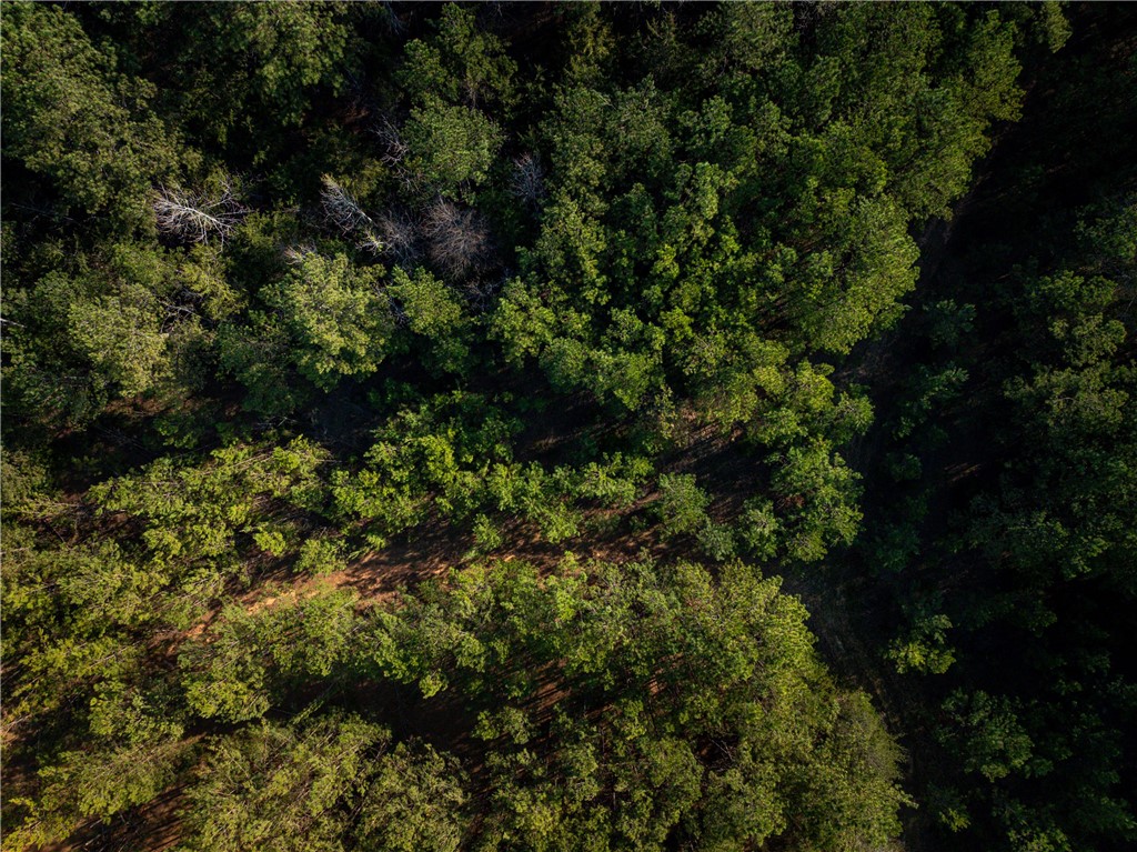 00 Sc 92 Highway, Enoree, South Carolina image 13