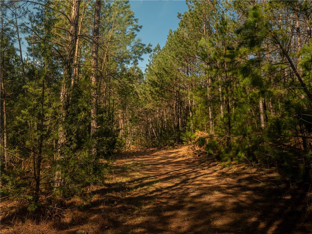 00 Sc 92 Highway, Enoree, South Carolina image 23
