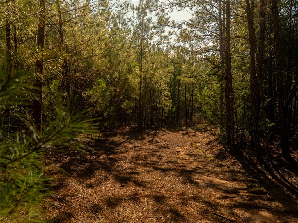 00 Sc 92 Highway, Enoree, South Carolina image 24