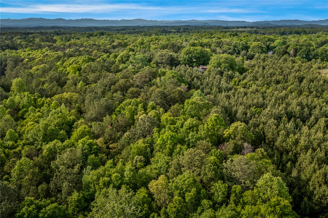 000 Bluebird Lane #TRACT A, Six Mile, South Carolina image 9