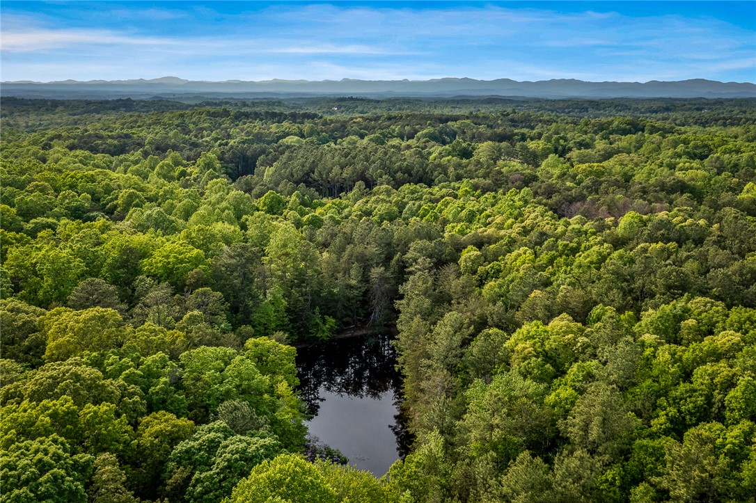 000 Bluebird Lane #TRACT A, Six Mile, South Carolina image 11