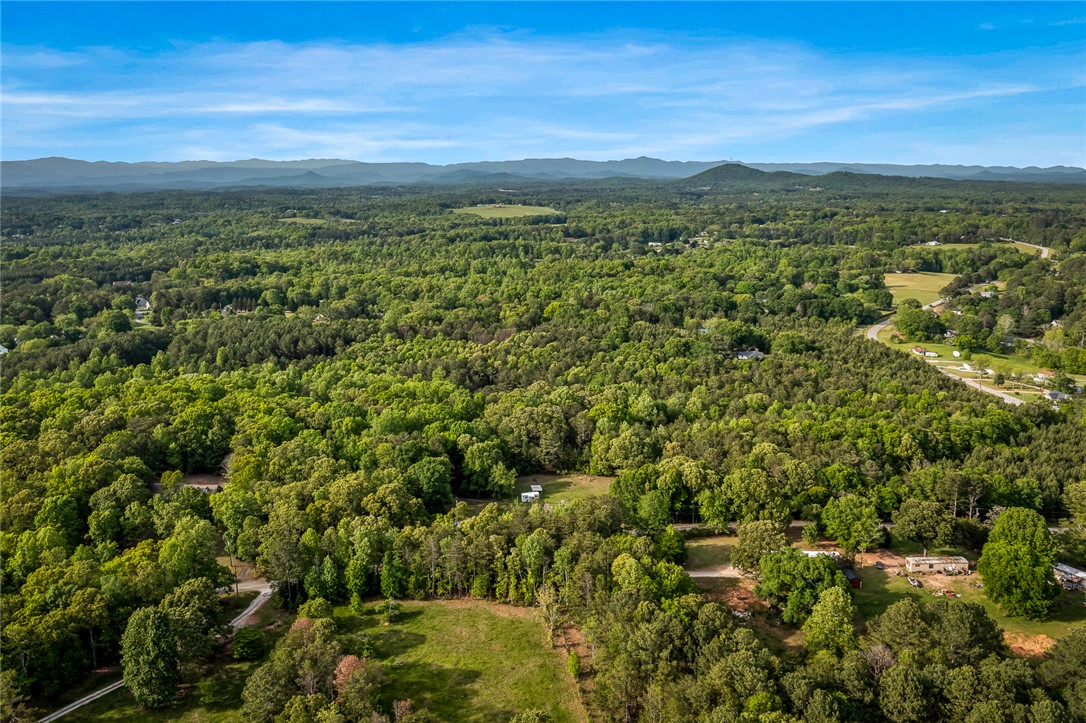 000 Bluebird Lane #TRACT A, Six Mile, South Carolina image 5
