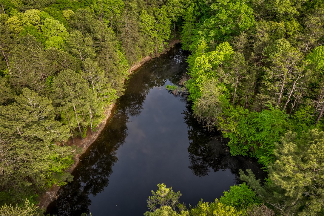 000 Bluebird Lane #TRACT A, Six Mile, South Carolina image 10