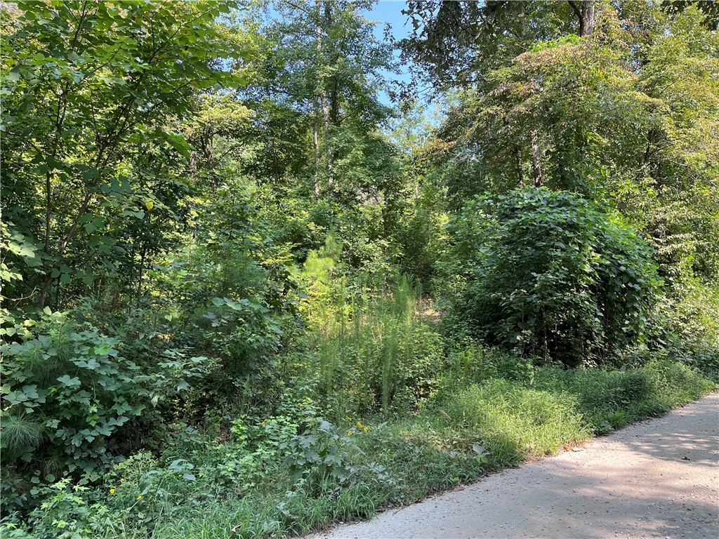 Riverbend Road, Fair Play, South Carolina image 6