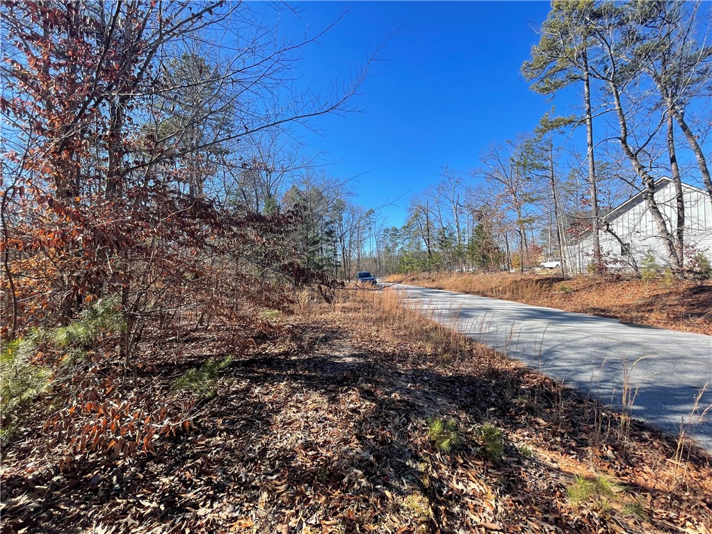 06 Sixteenth Circle, Walhalla, South Carolina image 11