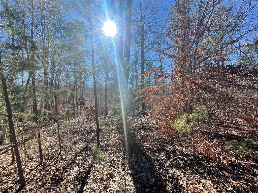 06 Sixteenth Circle, Walhalla, South Carolina image 10